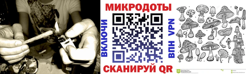 Купить  Унеча  Псилоцибиновые грибы мицелий 